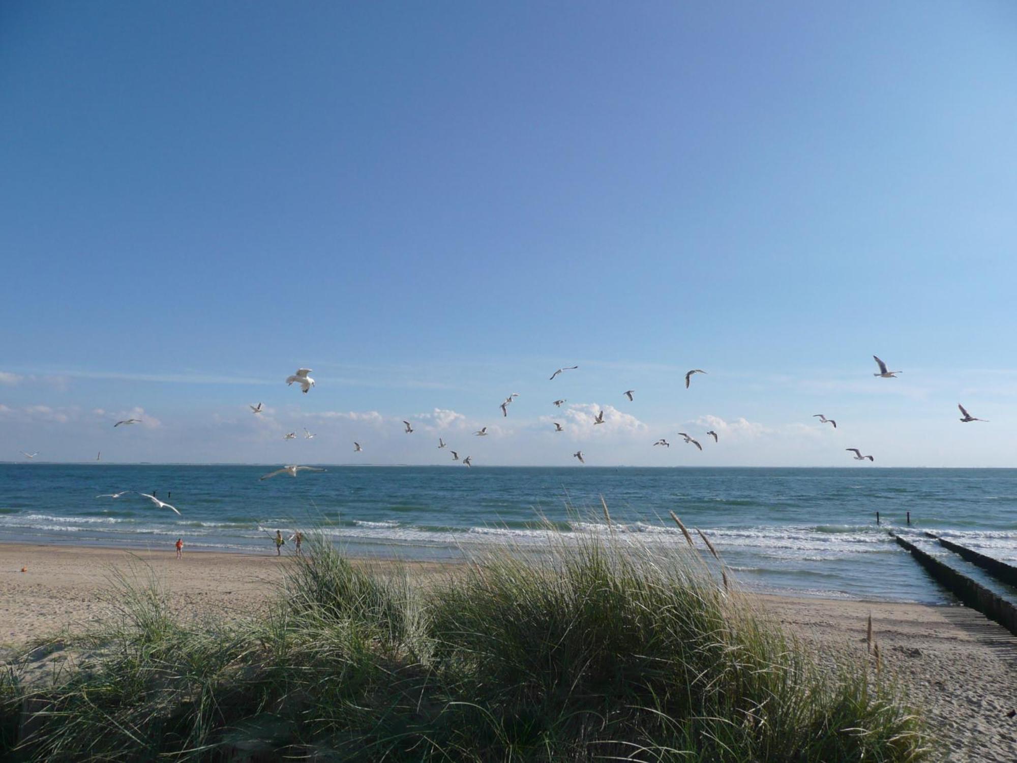 Het Verschil Zoutelande Exterior foto